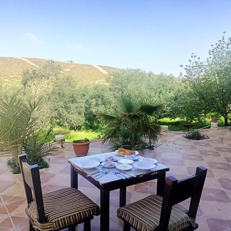 Farmer Stay Hostel Wadi Musa Exterior foto